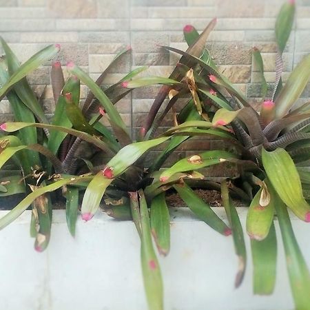 Homestay Bumi Asri III Cikutra Bandung Exterior photo